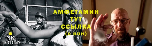 молекула духа Инсар