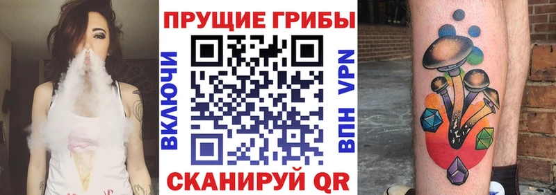Галлюциногенные грибы Psilocybine cubensis OMG Куса